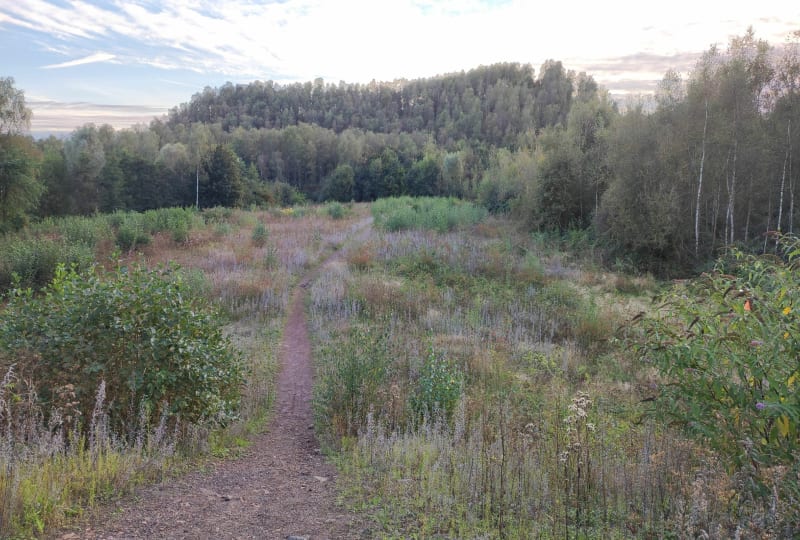 Boucle sur le terril de Condé-sur-l'Escaut - Condé-sur-l'Escaut