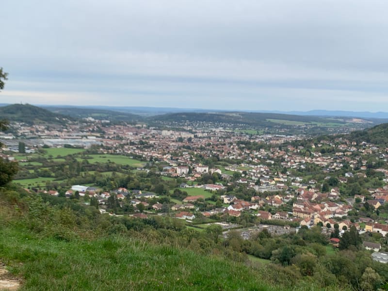 Forêt d’Echenoz depuis l'aire de décollage deltaplane - Échenoz-la-Méline