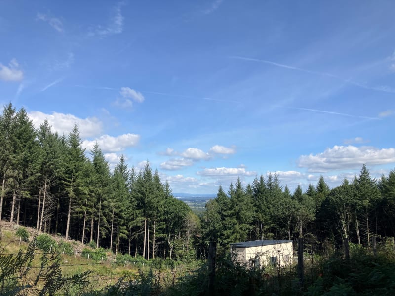Balade en forêt entre Rilhac et les Cars - Les Cars