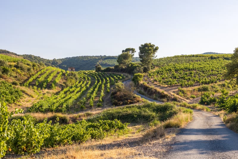 Bélarga, de Rouviege à Dardailan et chemin d'Hanibal - Bélarga