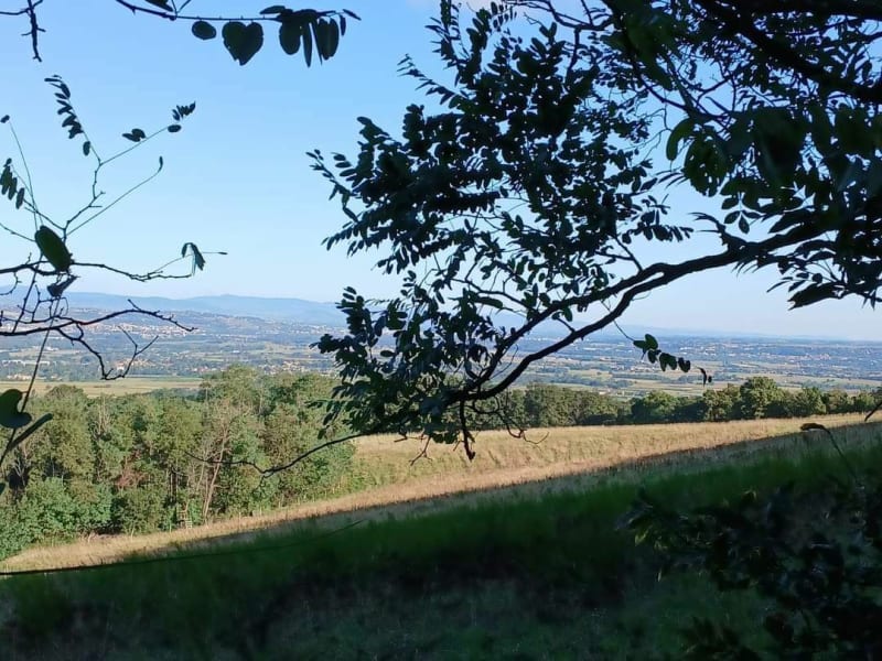 Marche Chasselay et le Lurin - Chasselay