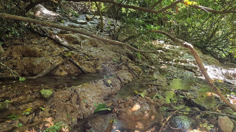 Randonnée à Fond Besse, par Pont des Tuves - Montauroux