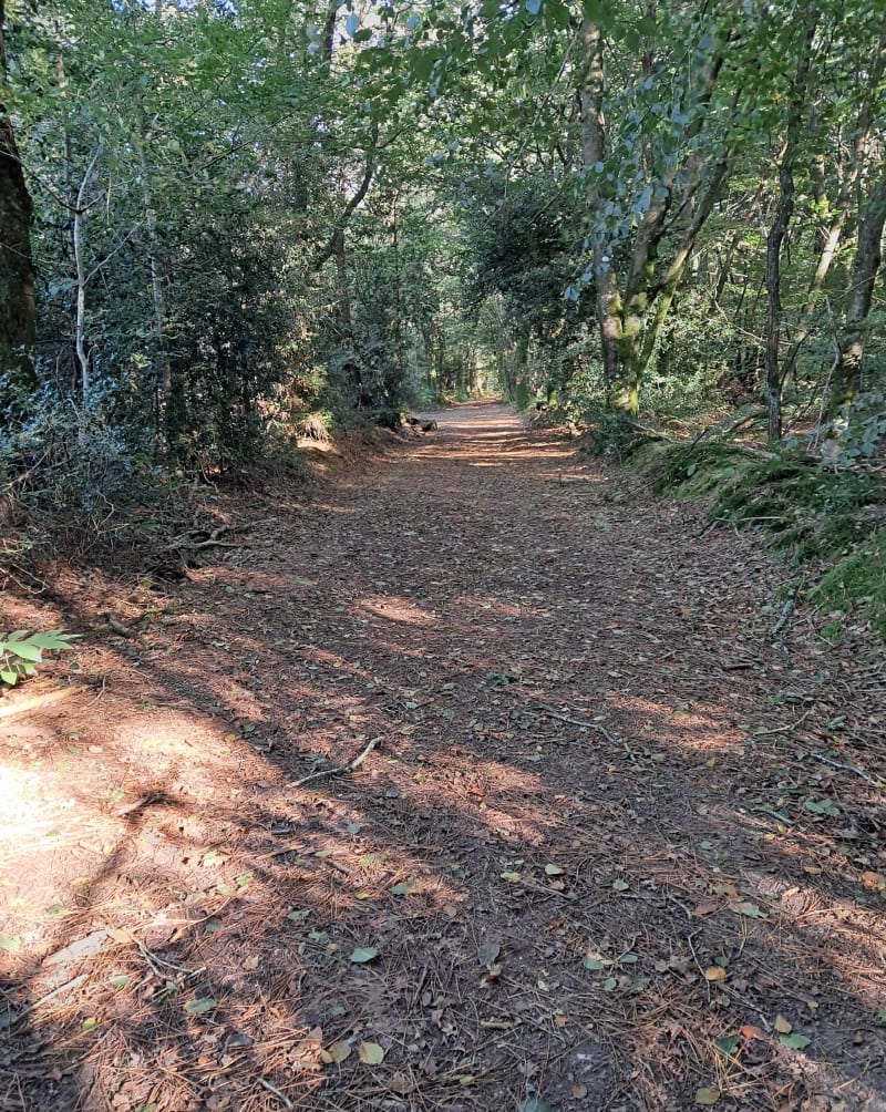 Balade autour de la grée des landes - Cournon