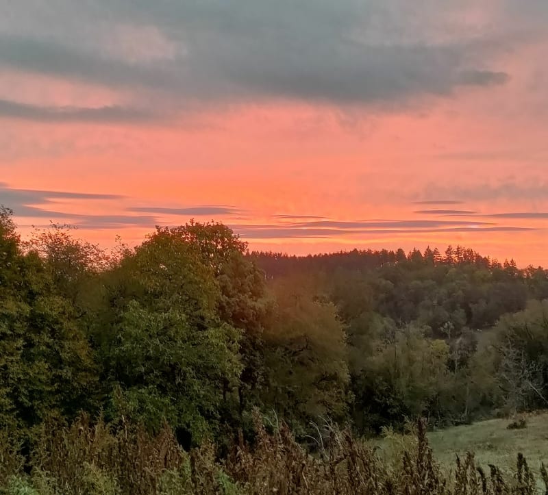 Dans les champs jusqu'à Saint Pardoux - Vialleix - Champs