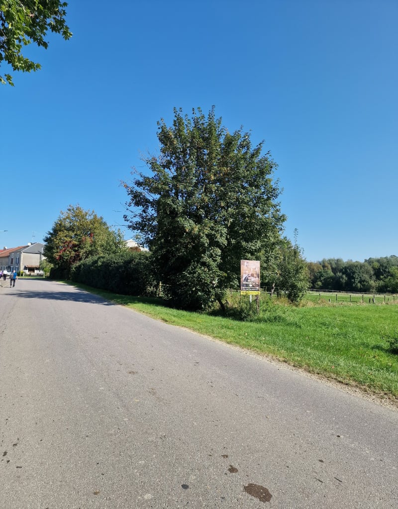Le sentier des soldats depuis Romagne, par Côte Dame Marie - Romagne-Sous-Montfaucon