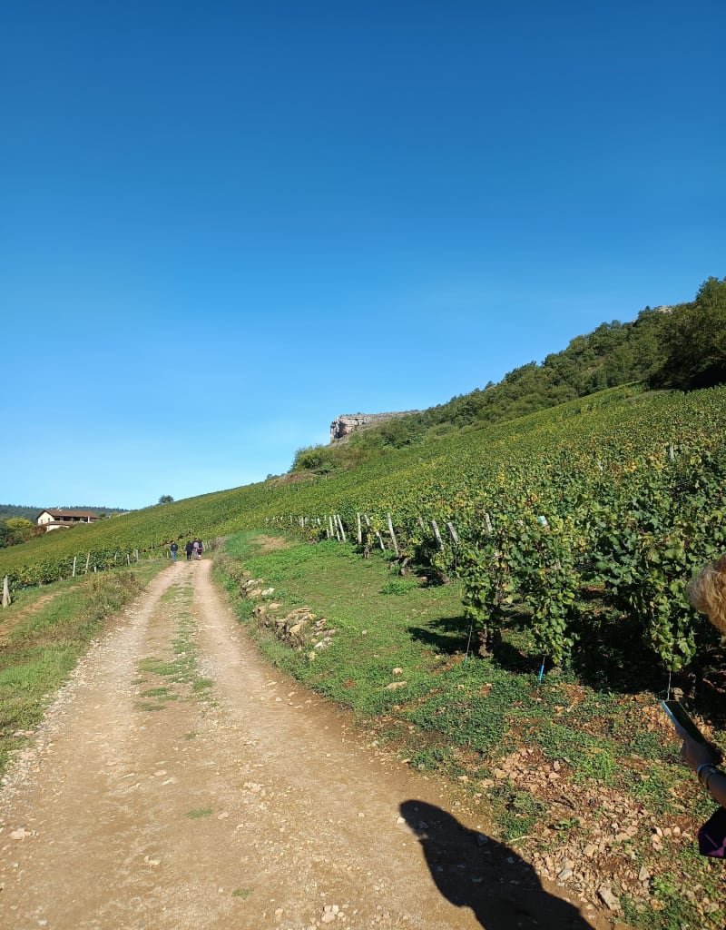 Entre les deux roches de Solutré et Vergisson - Davayé