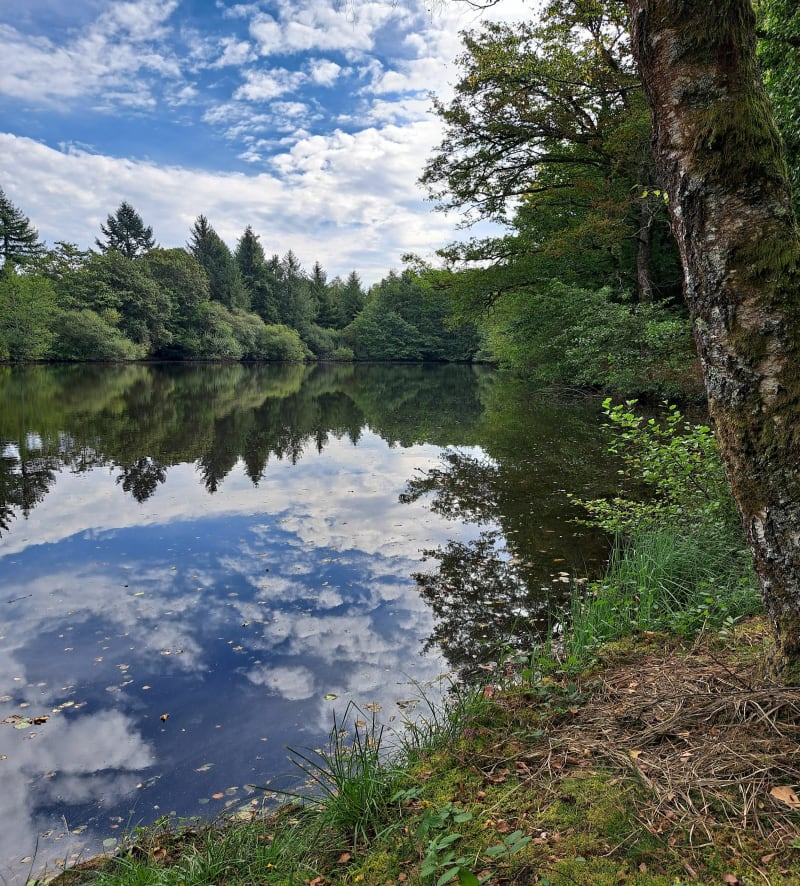 Sentier les Tupes - Saint-Denis-des-Murs