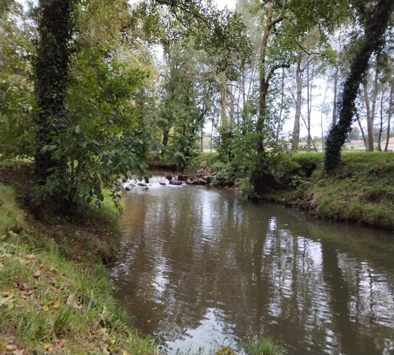 De la cité verte au Lac d'Agès par le sentier du Louts - Hagetmau
