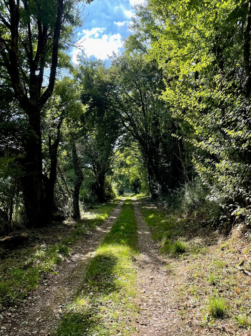 Sur les traces des Templiers - Boivre-la-Vallée