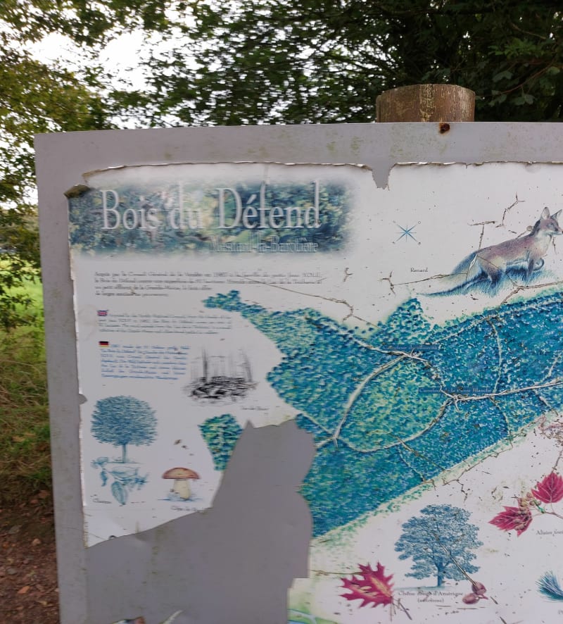 Le Bois de Défend - Mesnard-la-Barotière
