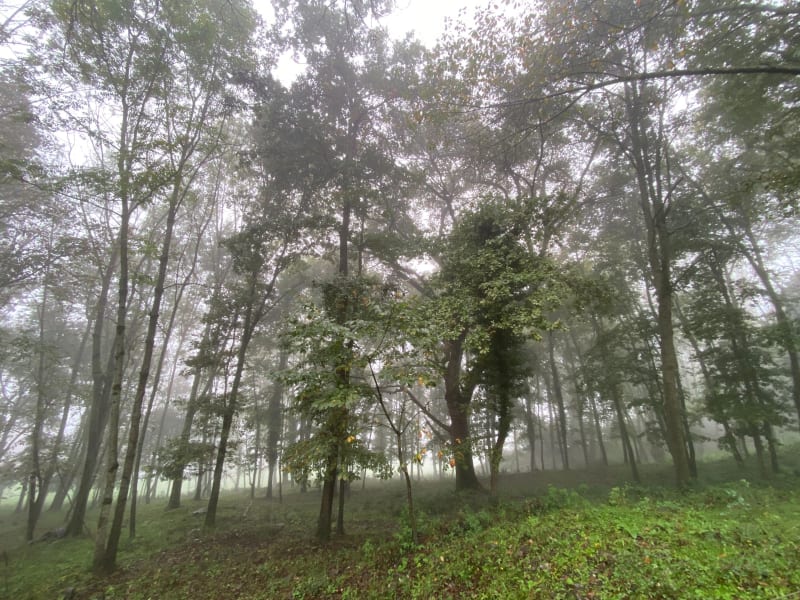 Marche sous la pluie de Vier-Bordes aux Bennes - Vier-Bordes