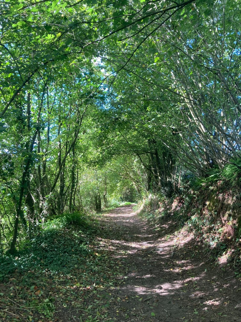 Circuit de petits chemins sur les hauteurs de St Lô - Saint-Lô