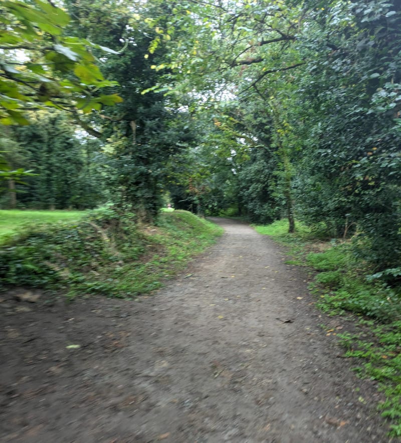 Jaguère le chemin, depuis Rezé - Rezé