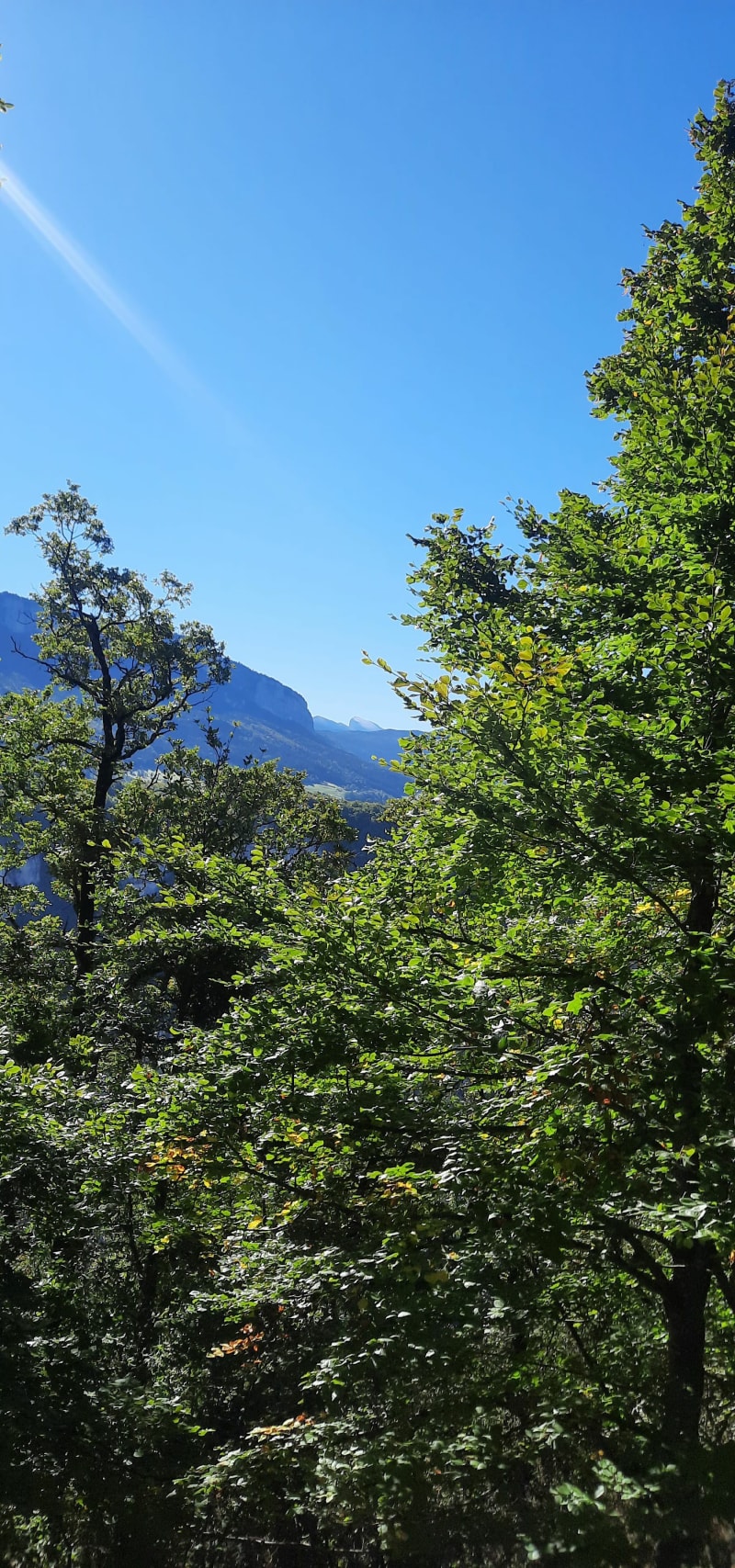 La Goulandiere par la Balme de Rencurel - Rencurel