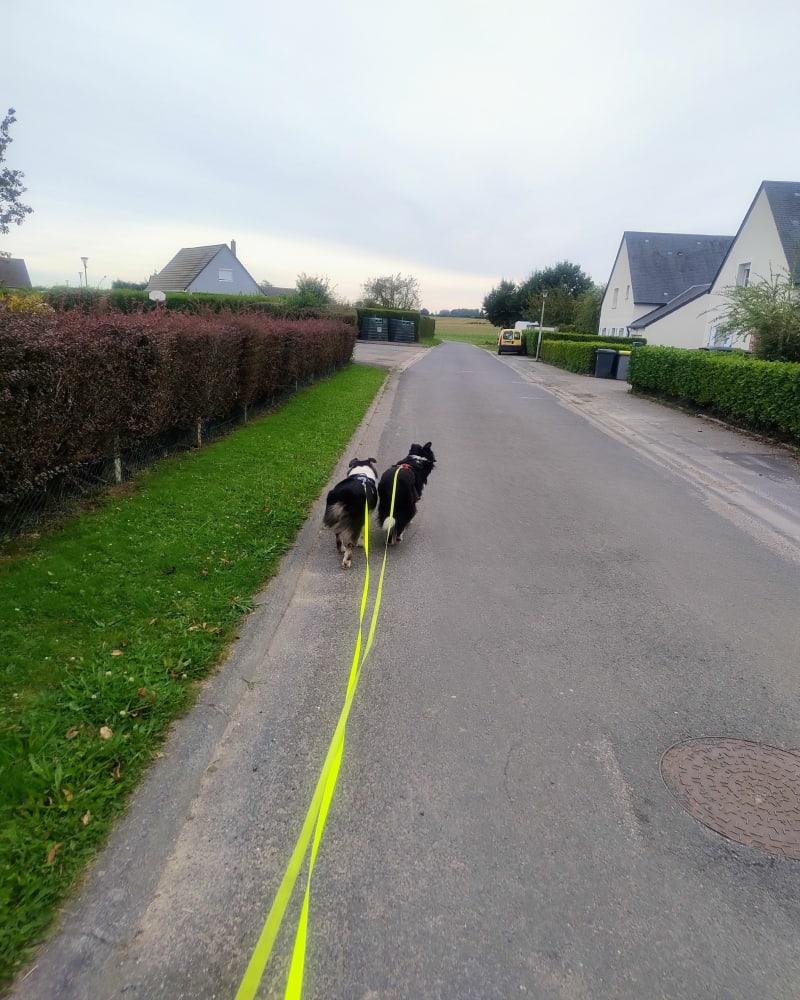Autour de Bretteville - Annouville-Vilmesnil
