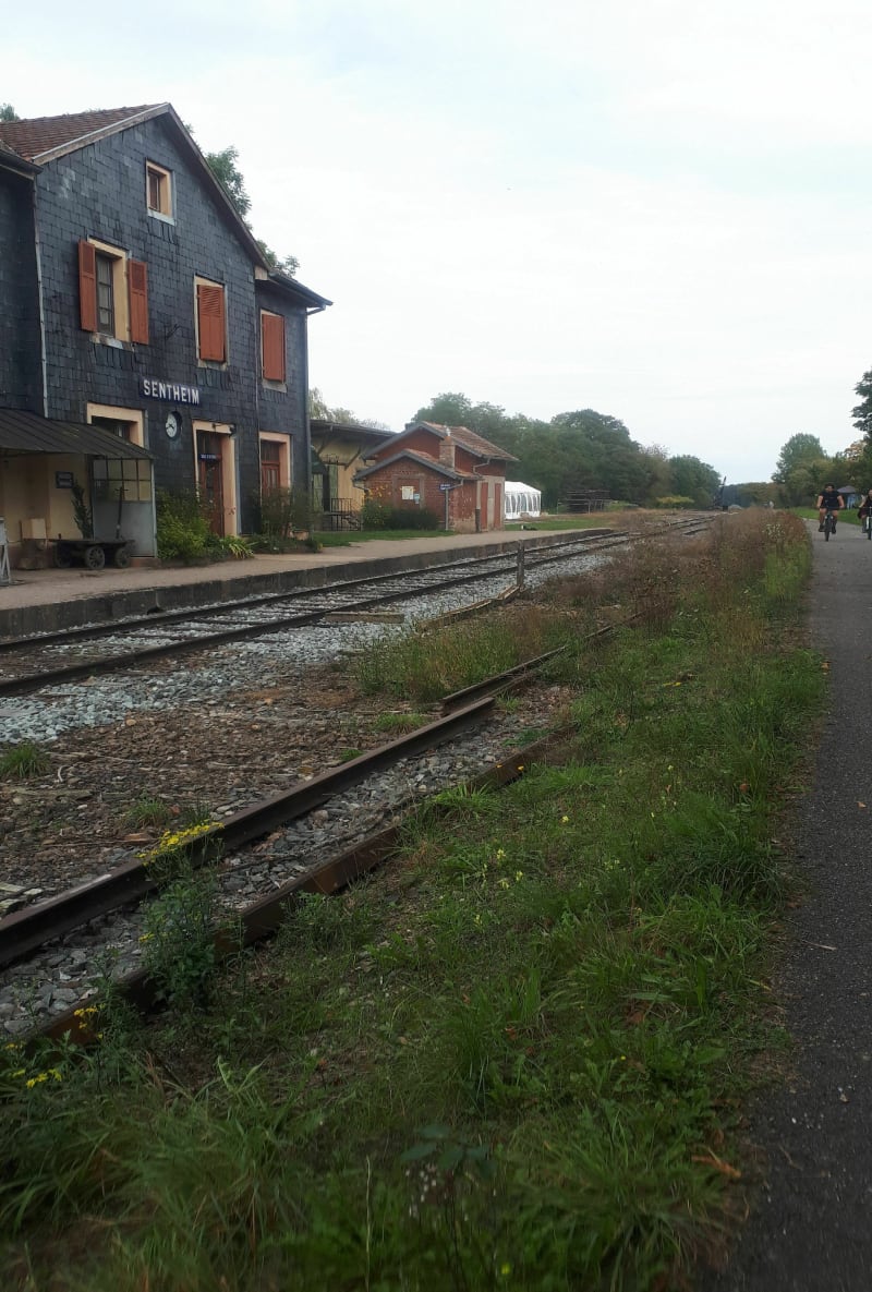 Gare au manque d'entrain ! à cernay - Cernay