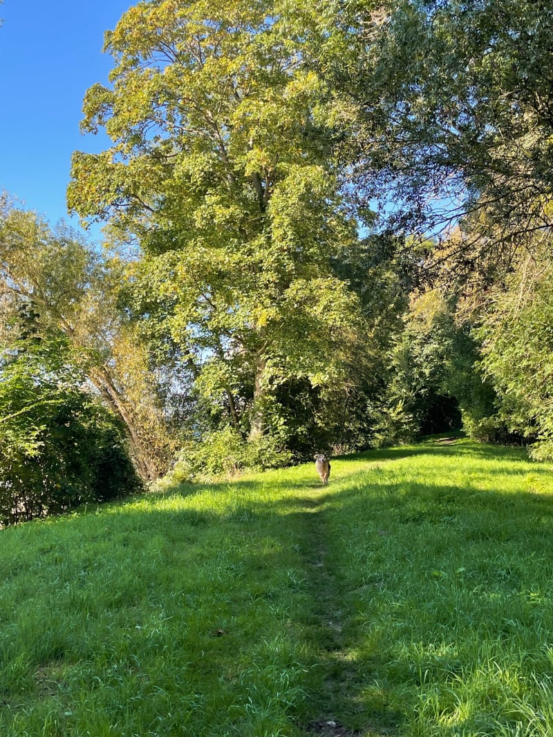 Petite promenade à Saint-Aubin-lès-Elbeuf - Saint-Aubin-lès-Elbeuf