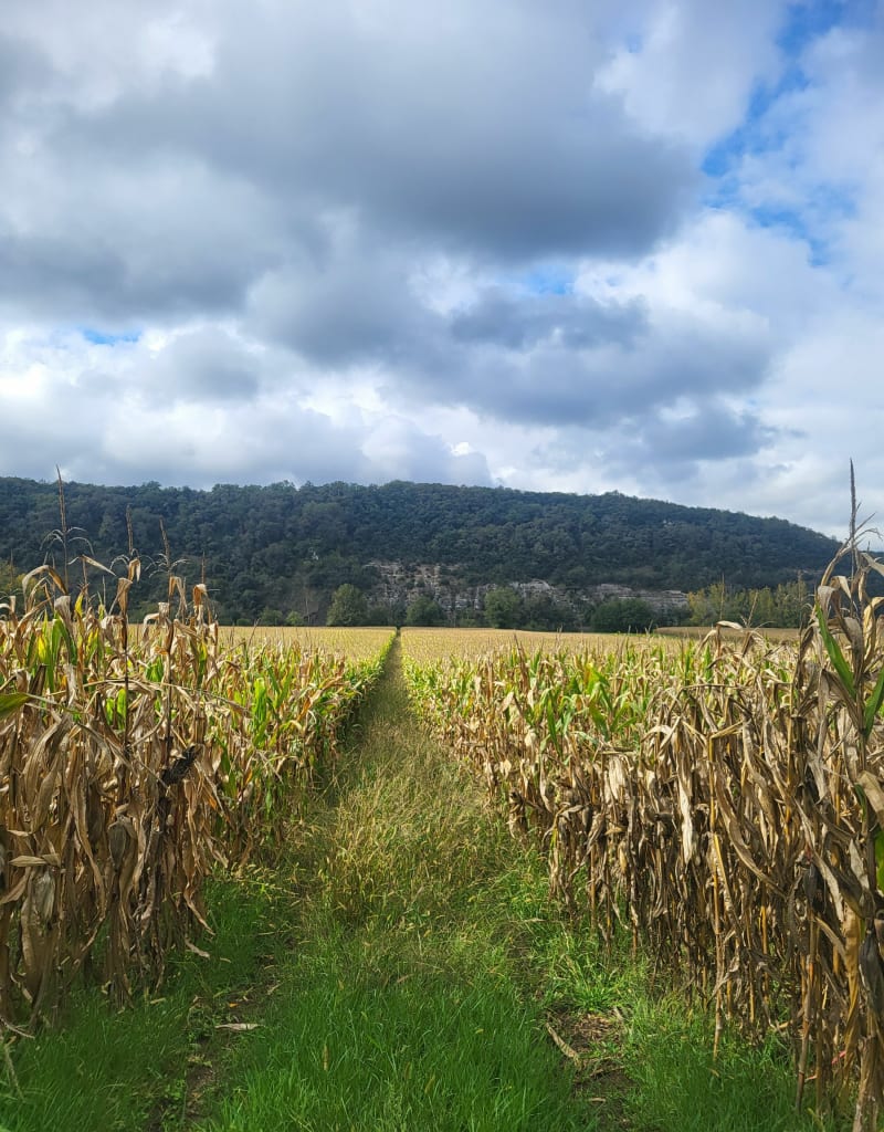 Boucle de Calès - Calès