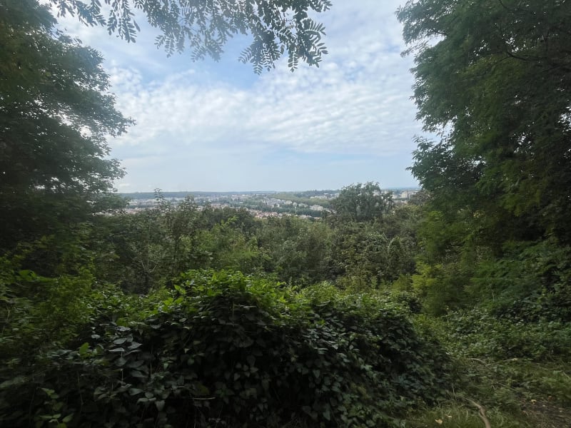 Vallée de la Bievre depuis Le Plessis - Clamart
