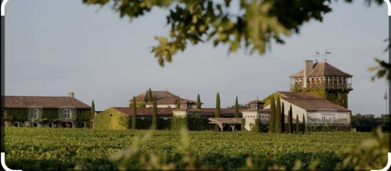 Route des vins depuis Cadaujac - Cadaujac