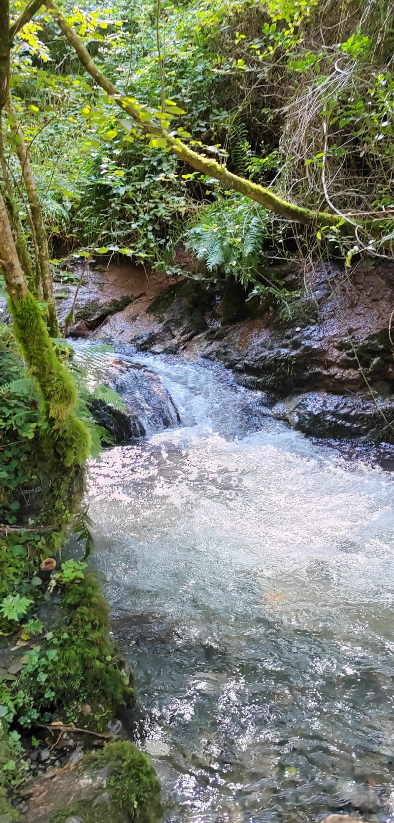 Cascade spendide - Bagnères-de-Bigorre