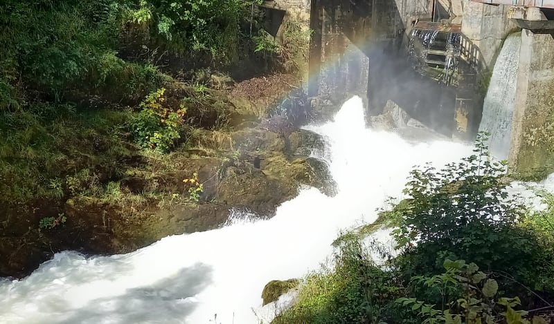 De Sirod aux Pertes de l'Ain - Sirod