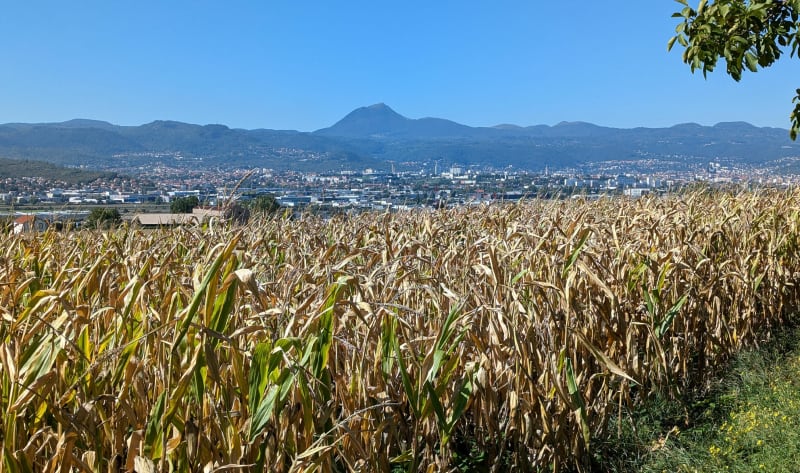 Les coteaux de Cournon, du puy d'Anzelle vers le puy de Bane - Cournon-d'Auvergne