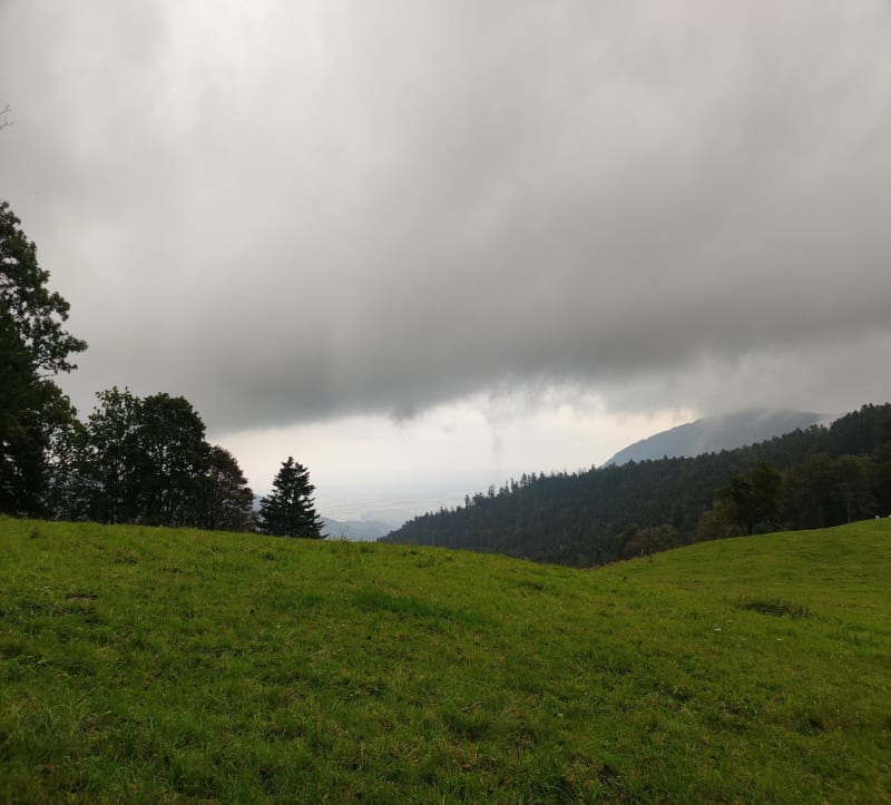 Le col Amic - Soultz-Haut-Rhin
