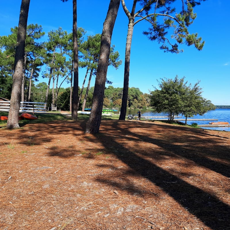 Promenade fleurie et lac de Mimizan - Mimizan