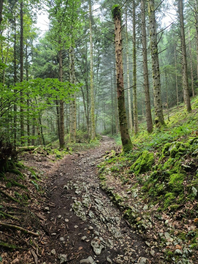 Boucle de Saint Alban par les chemins du Mmont Saint Michel - Saint-Alban-Leysse