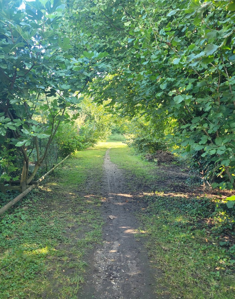 Balade entre Hipsheim et Fegersheim - Hipsheim