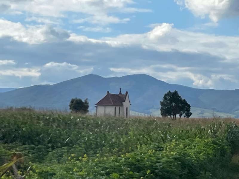 Tour dans le Ried Alsacien, par Boofzheim et Ebersmunster - Huttenheim
