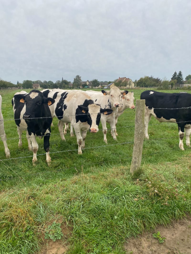Randonnée à Ecos - Vexin-sur-Epte