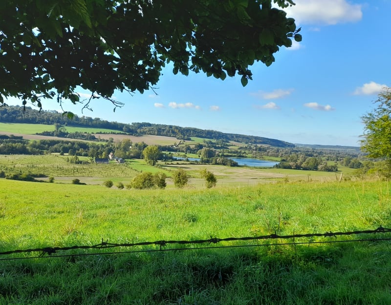 Bois du Croc - Torcy-le-Petit