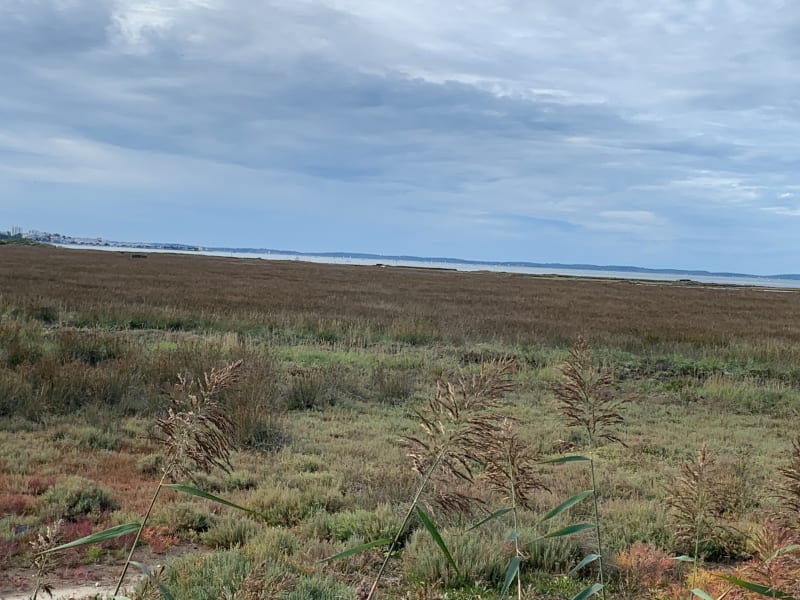 Port de La Teste à Port de Gujan par le sentier du littoral - La Teste-de-Buch