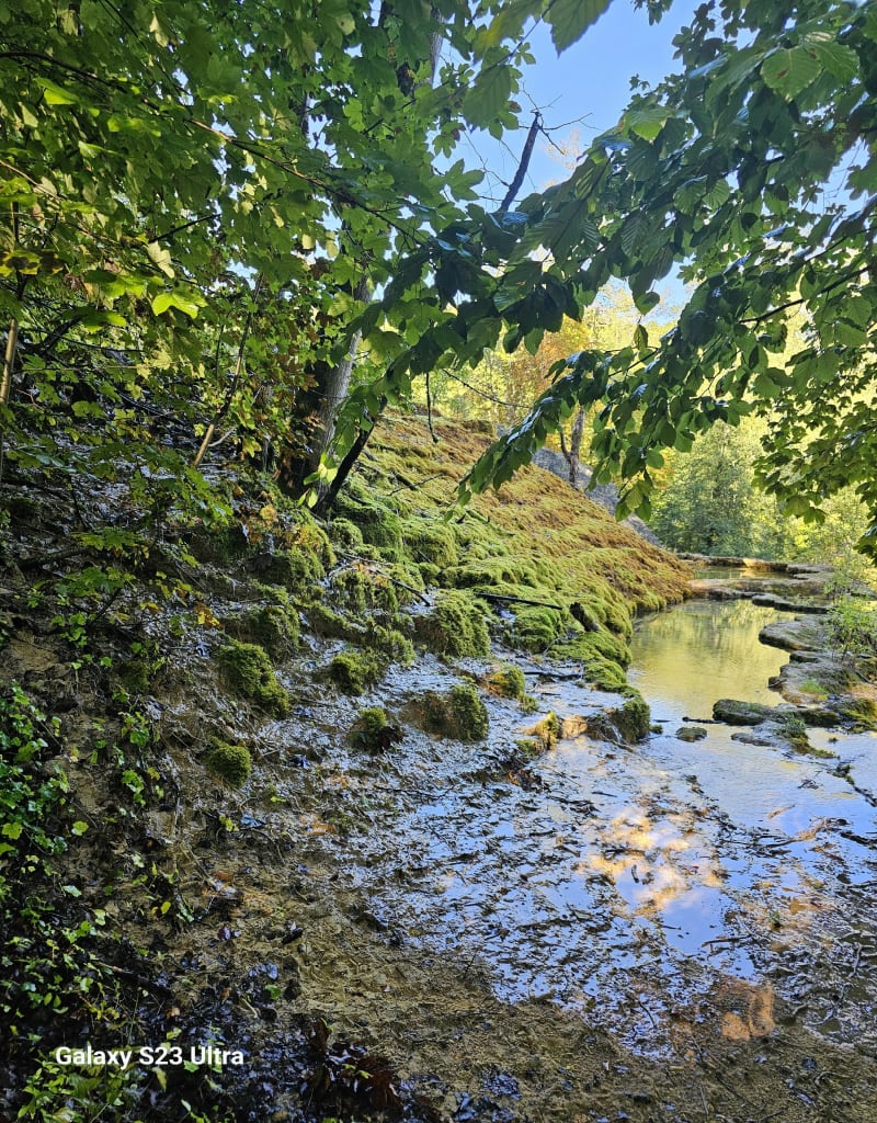 Parcours du trial de la Tuffière à Rolampont - Rolampont