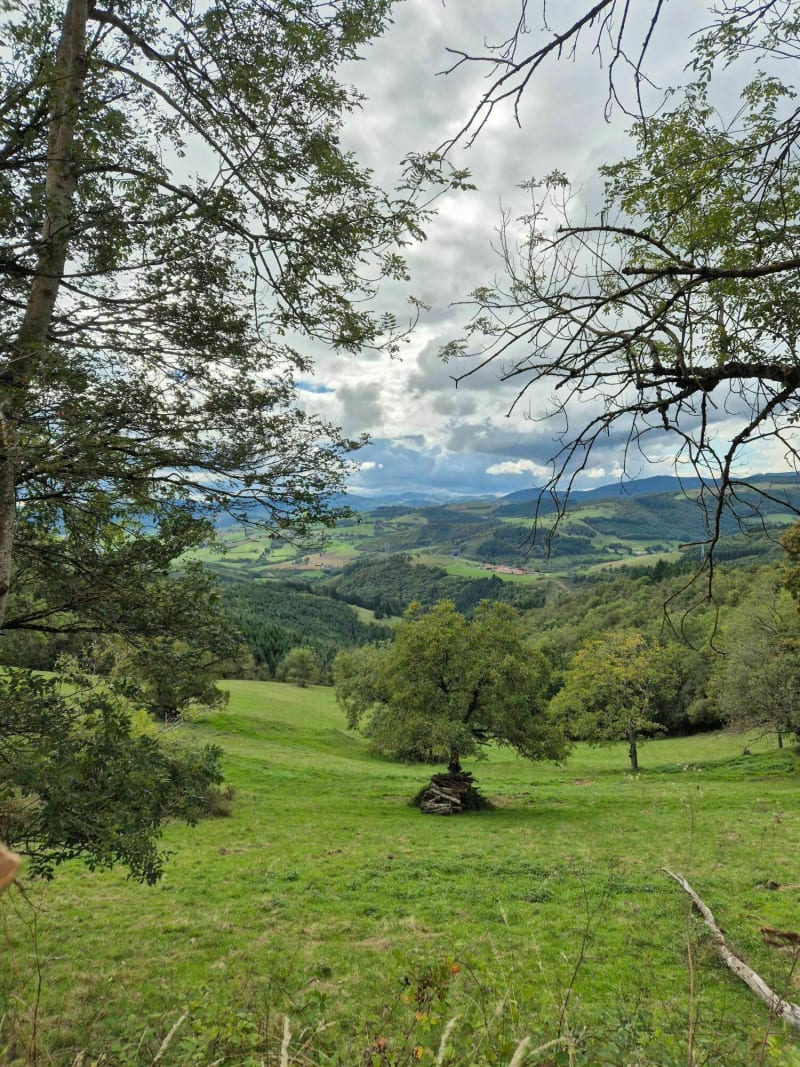 Ternand village médiéval, forêt de Brou - Ternand
