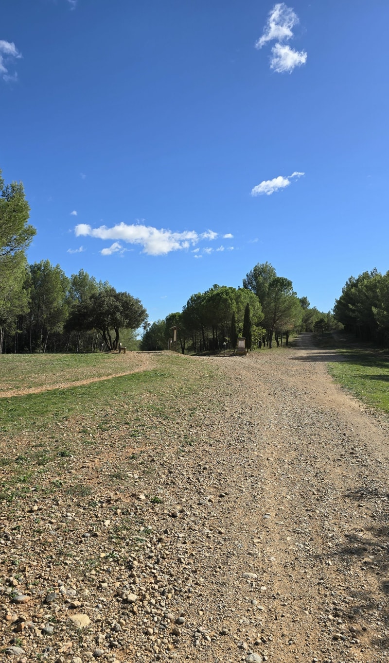 Prades-le-Lez., bois de Jacou - Assas