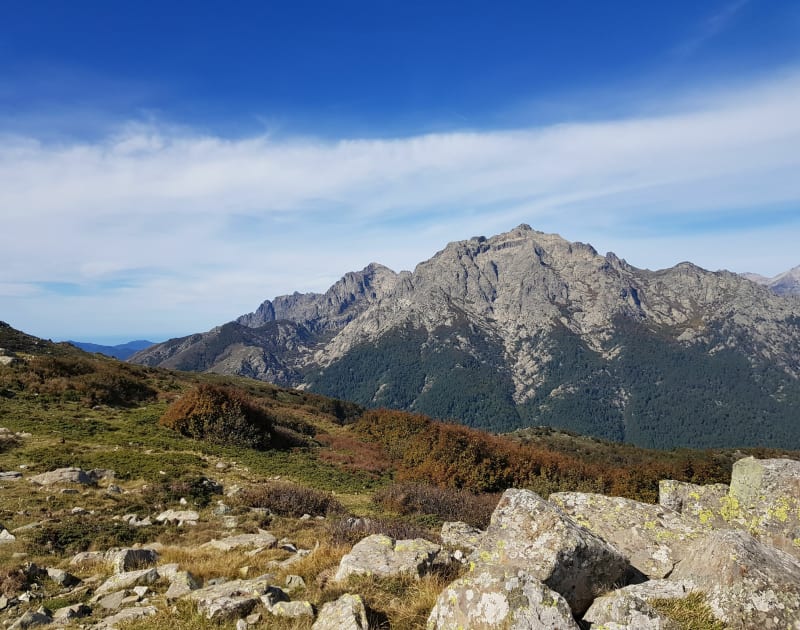 Forêt de Vizzavone : bocca Palmentu et cascade des Anglais - Vivario