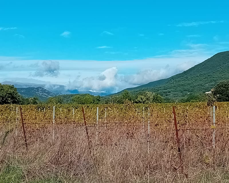 Rando autour de Mirabel aux Baronnies - Mirabel-aux-Baronnies