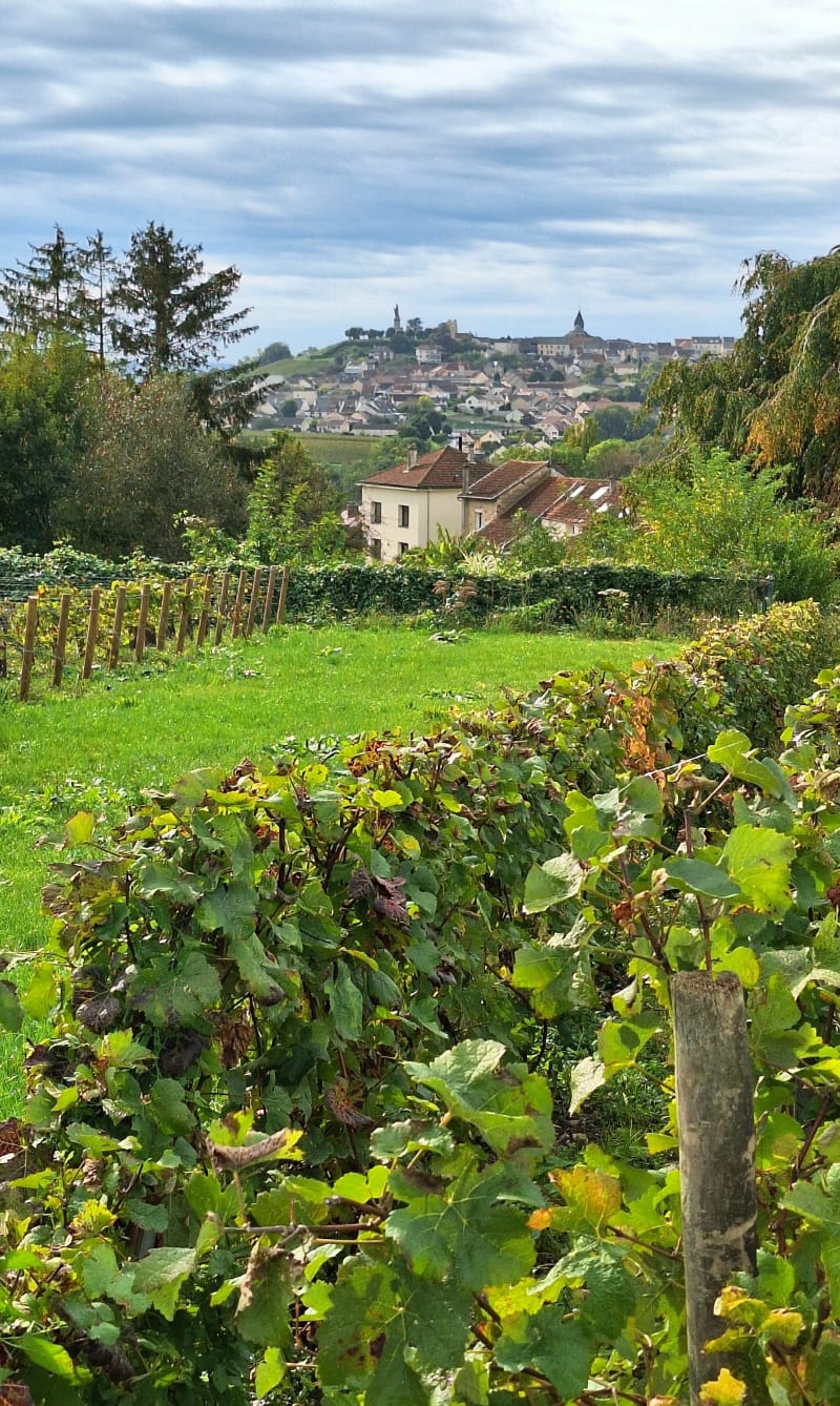 Eau et vin - Cœur-de-la-Vallée