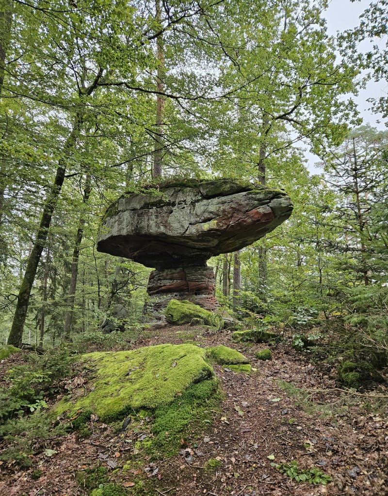 Rochers du Pilsfels et du Hundskopf Sturzelbronn - Sturzelbronn