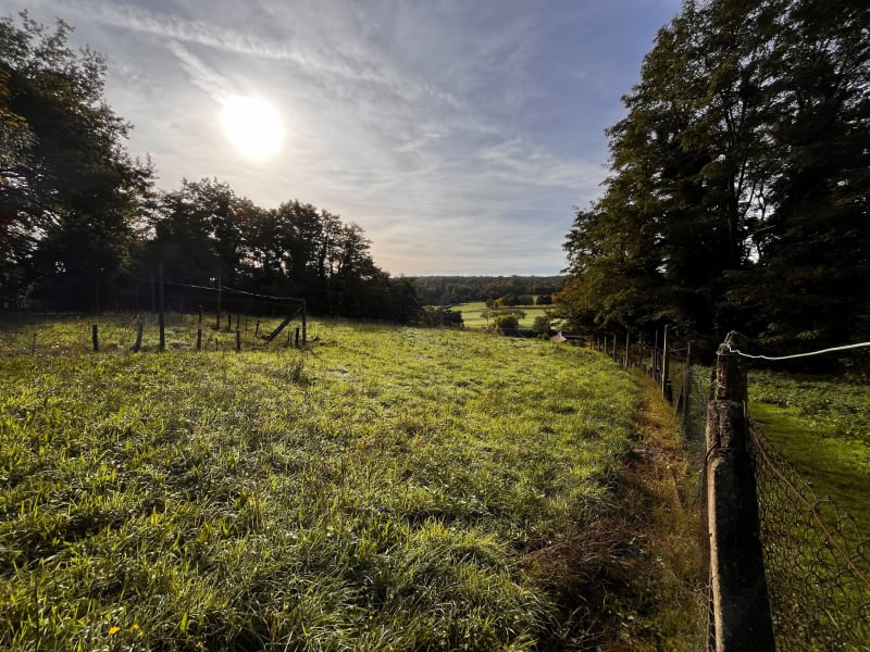 Balade dans le désert de Retz - Chambourcy