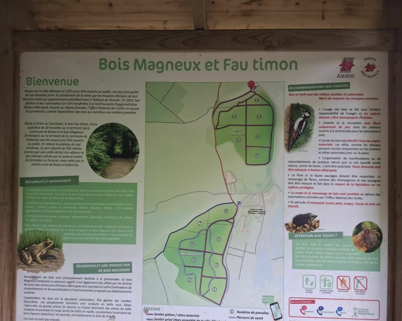 Bois de Fautimon - Boves