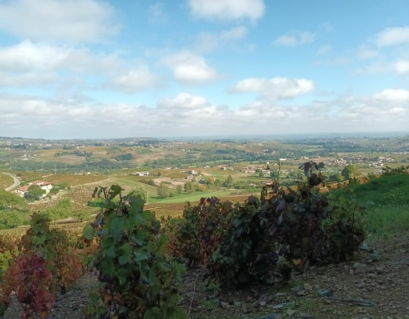 Circuit des 3 châteaux, départ de Quincié - Quincié-en-Beaujolais