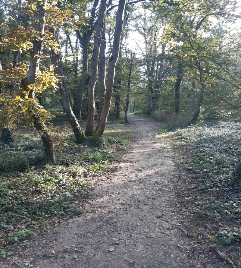 Parcours de santé de Chavanoz et les bois alentours - Charvieu-Chavagneux