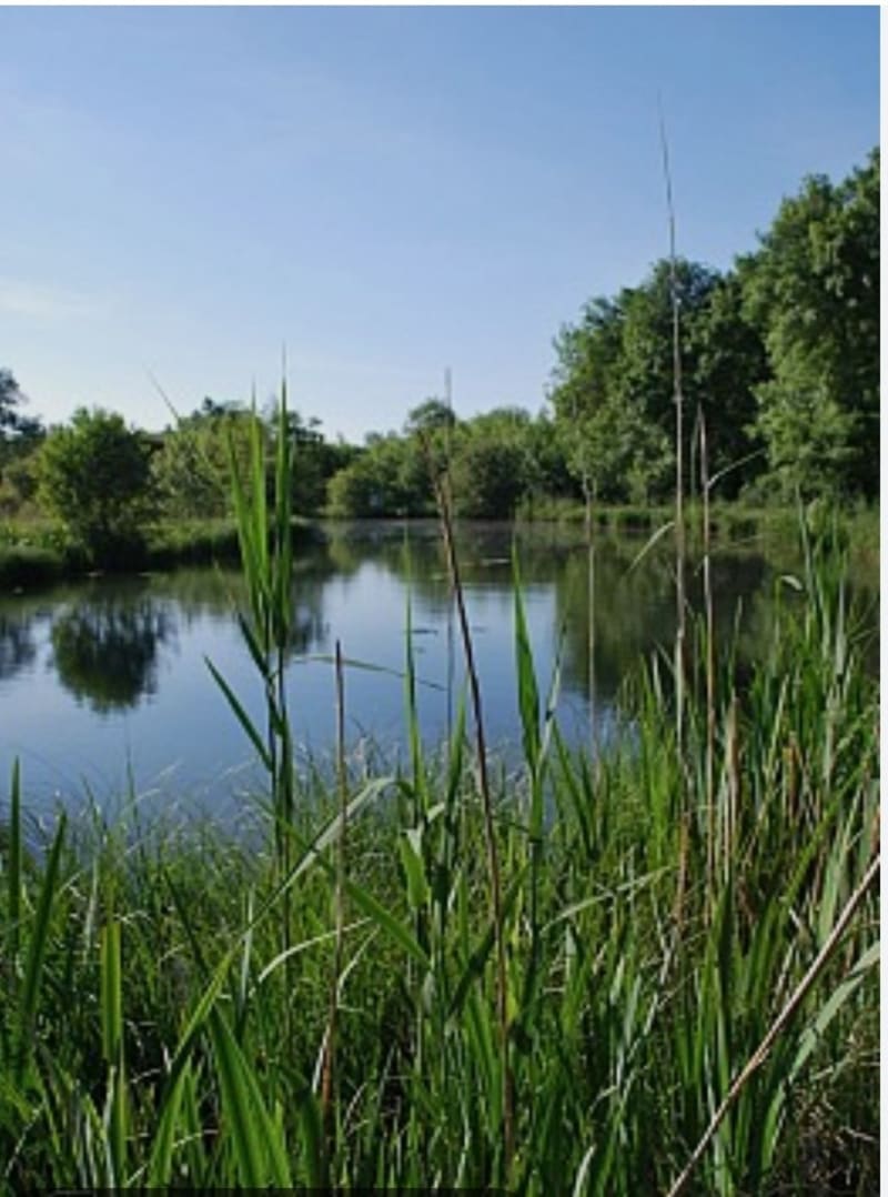 Le bas de Prignac - Prignac-et-Marcamps