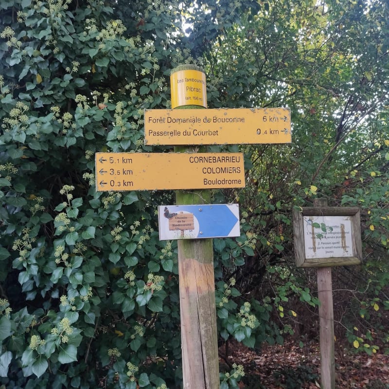 Colomiers Pibrac petite rando sympathique - Colomiers