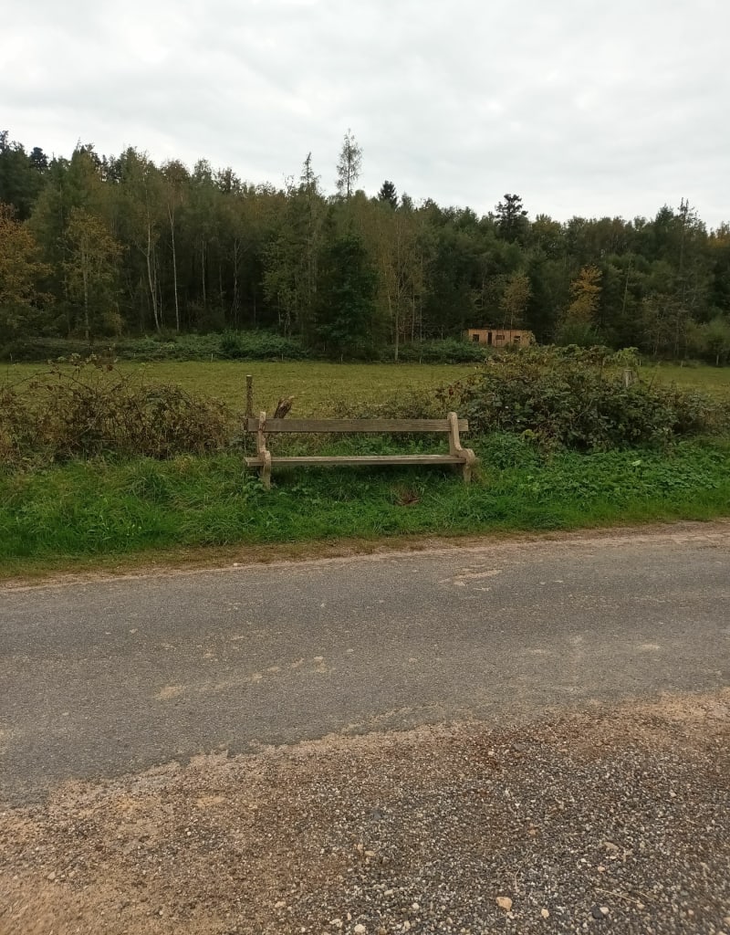 Petite balade en forêt de Raves - Raves