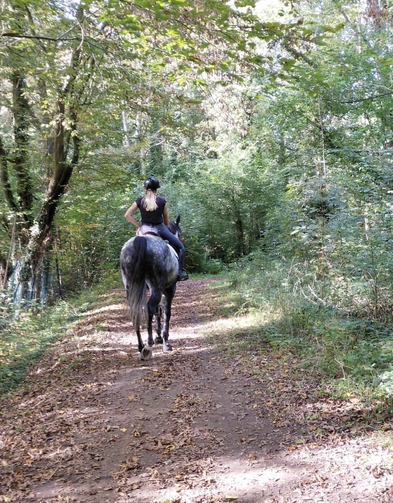 Autour de Vallangoujard - Vallangoujard